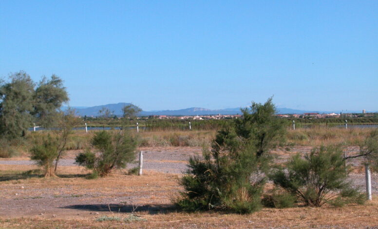 View over the land from the campsite