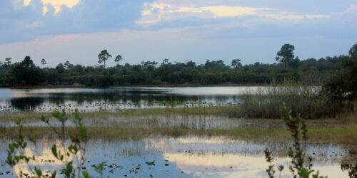 Florida_Gfp-florida-st-sebastain-river-state-park-lake-landscape